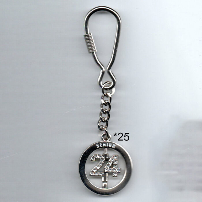 Spinner Key Ring