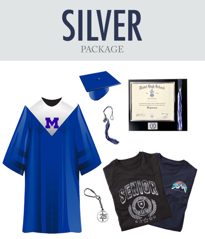 Model Silver Package